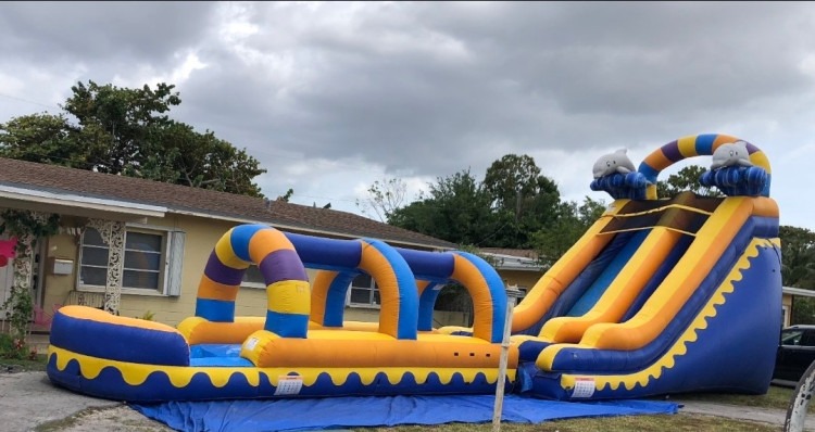 Dolphin Splash slip and slide
