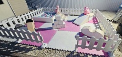 Climber Buddie Set