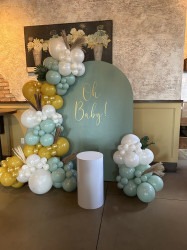 IMG 2298 1763000938 Basic Backdrop Package