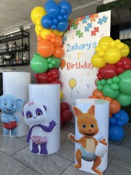 Custom Design Backdrop