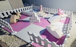 IMG 1513 1753798470 Climber Buddie Set